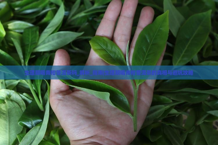 生理期喝青柑普洱茶吗