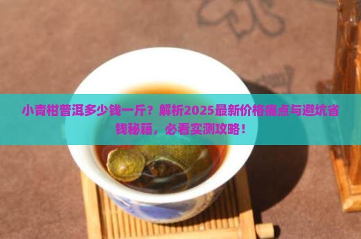 小青柑普洱多少钱一斤