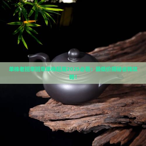 单株老班章班章单株最低多少钱