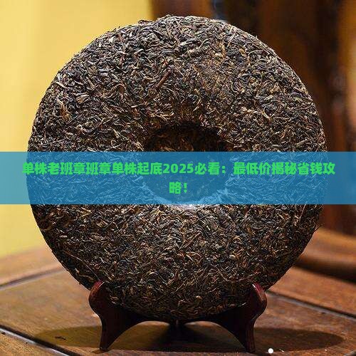 单株老班章班章单株最低多少钱