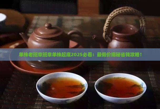 单株老班章班章单株最低多少钱