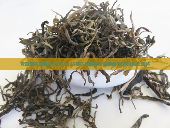黄草坝古树茶多少年