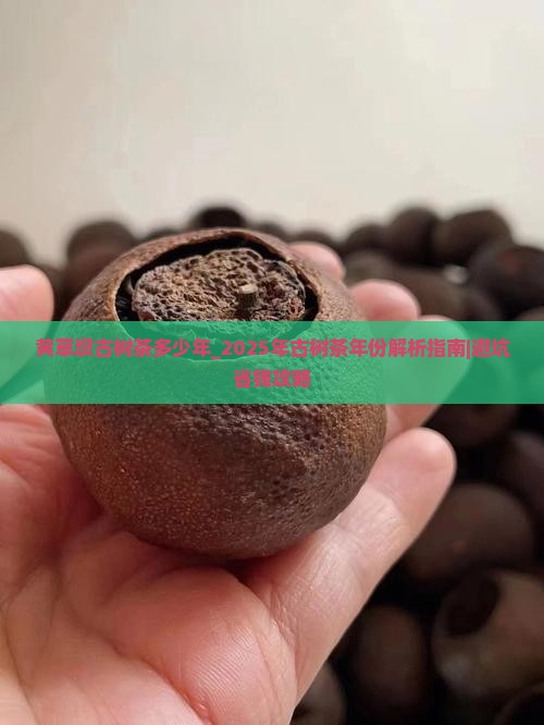 黄草坝古树茶多少年
