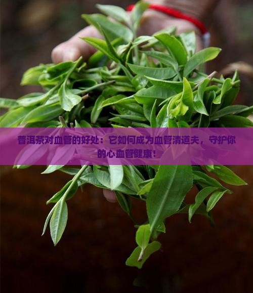普洱茶对血管的好处