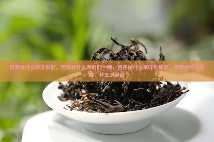 苦茶是什么茶叶