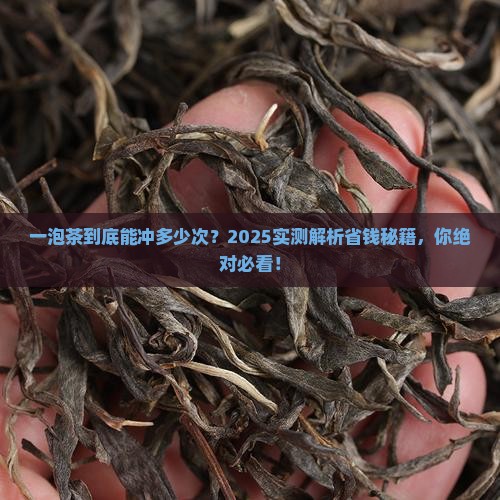 一泡茶可以冲多少次