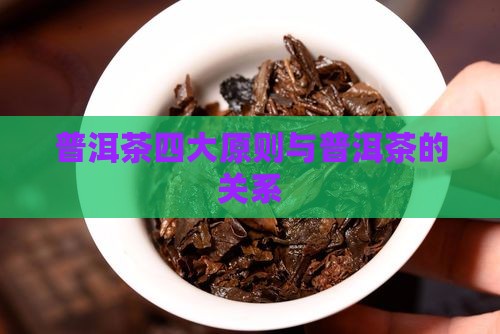 普洱茶的四大原则是指
