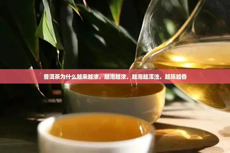 普洱茶为什么越来越浓