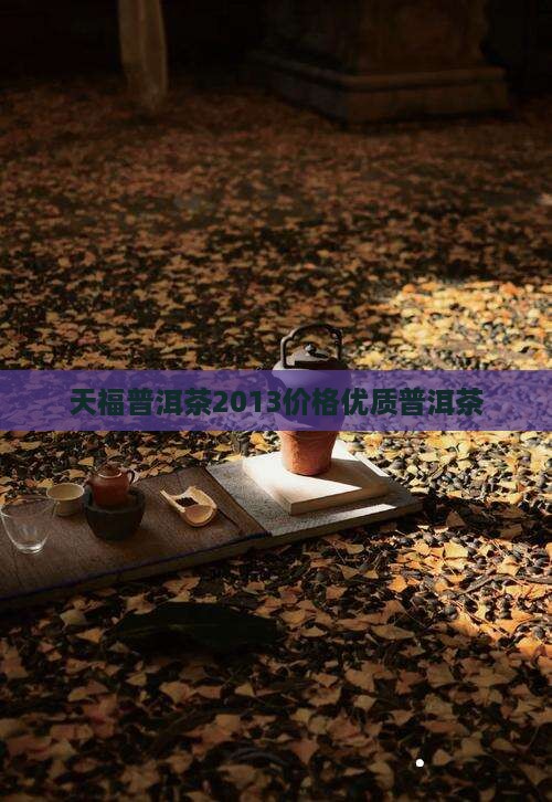 天福58度普洱茶2013