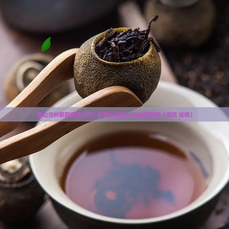 雪山古树茶价格