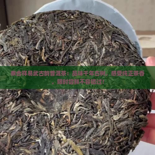 泰合祥易武古韵普洱茶