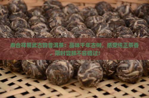 泰合祥易武古韵普洱茶