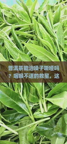 普洱茶能治嗓子嘶哑吗