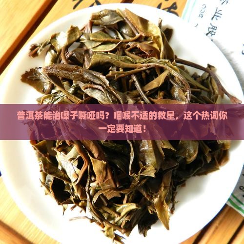 普洱茶能治嗓子嘶哑吗