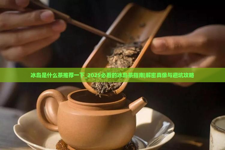 冰岛是什么茶推荐一下