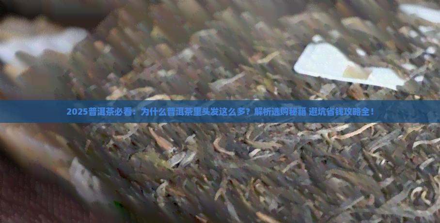 为什么普洱茶里头发怎么多