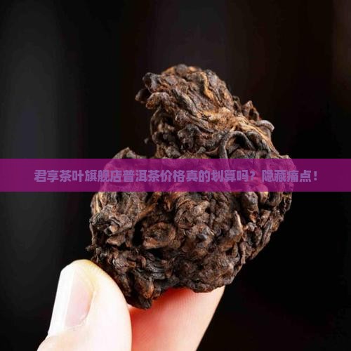君享茶叶旗舰店普洱茶价格