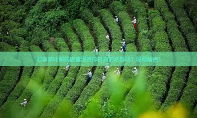 君享茶叶旗舰店普洱茶价格