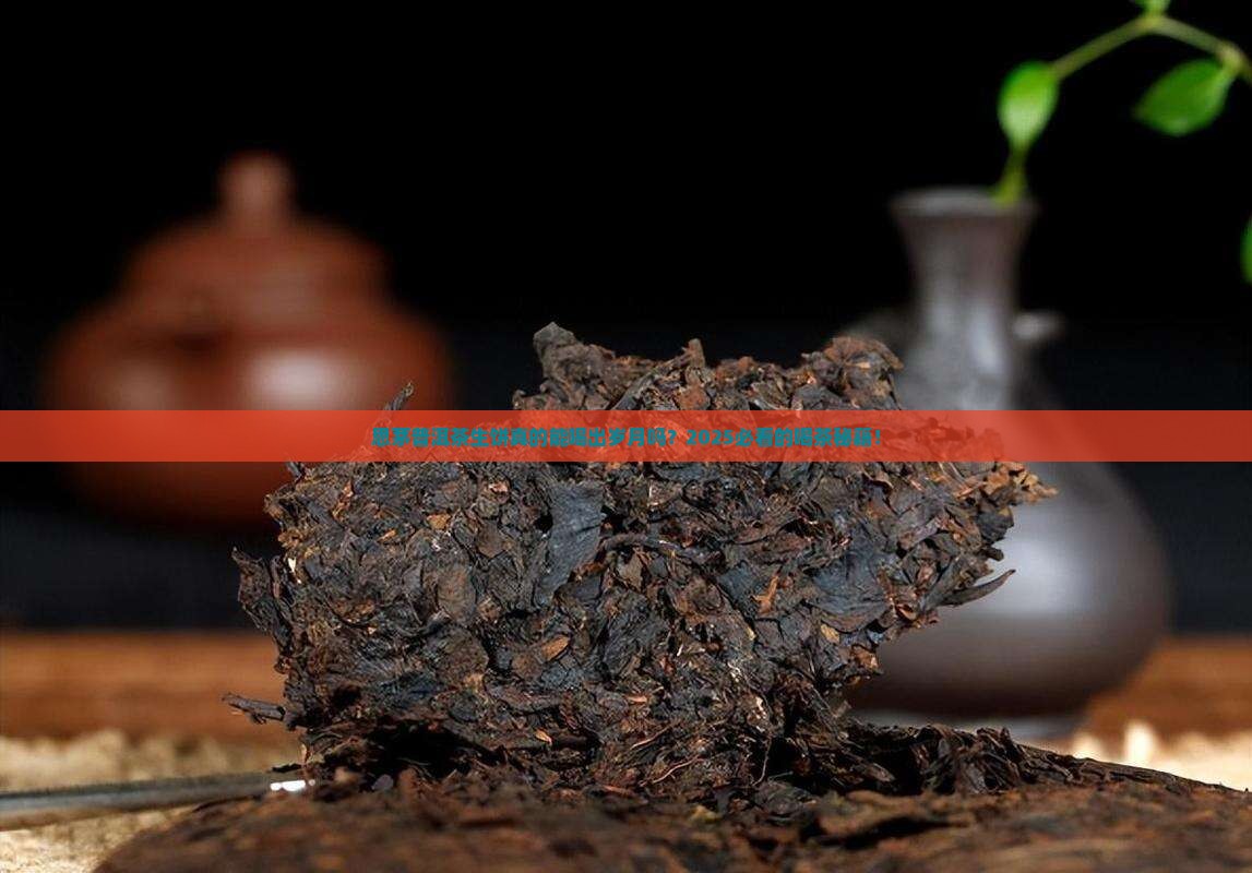 思茅普洱茶生饼