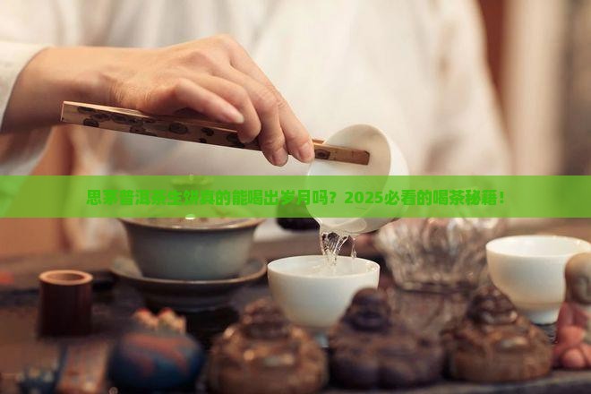 思茅普洱茶生饼