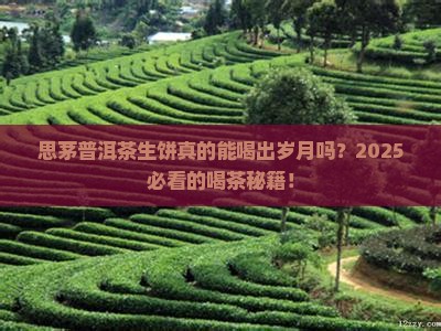 思茅普洱茶生饼