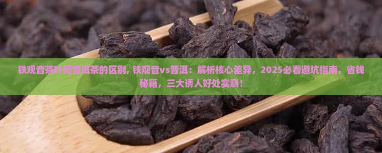 铁观音茶叶和普洱茶的区别