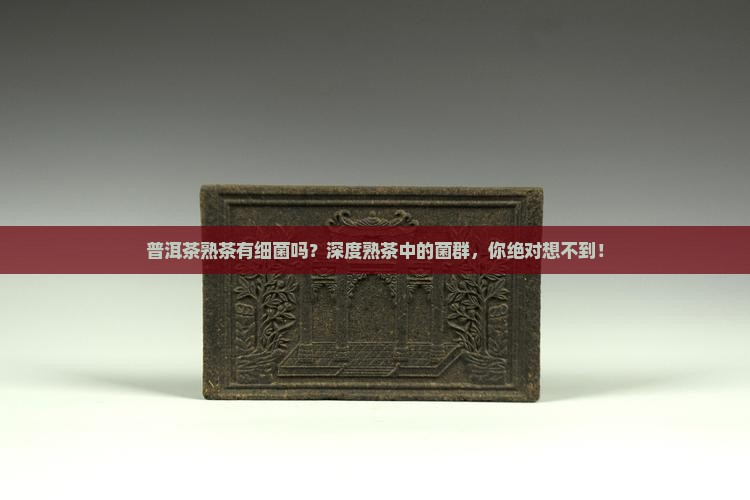 普洱茶熟茶有细菌吗