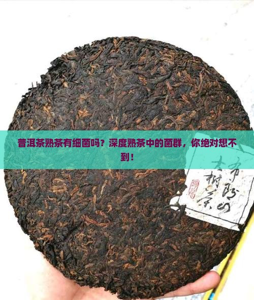 普洱茶熟茶有细菌吗