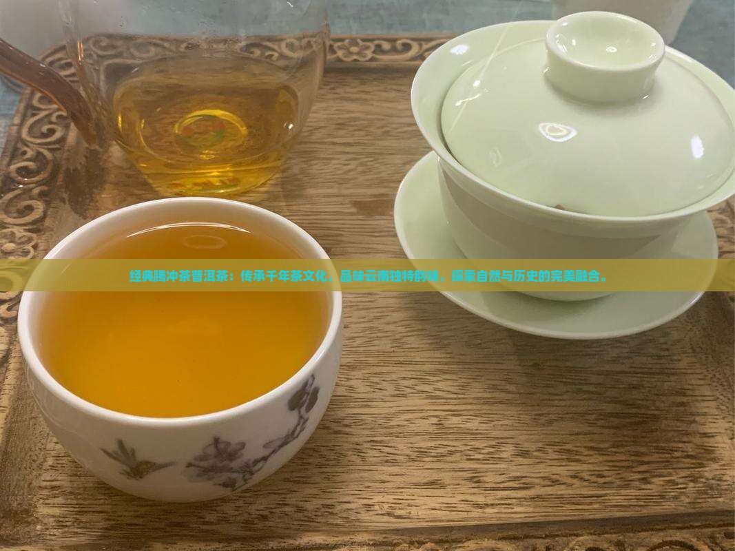 经典腾冲茶普洱茶