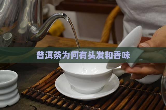 老普洱茶为什么有头发和香味