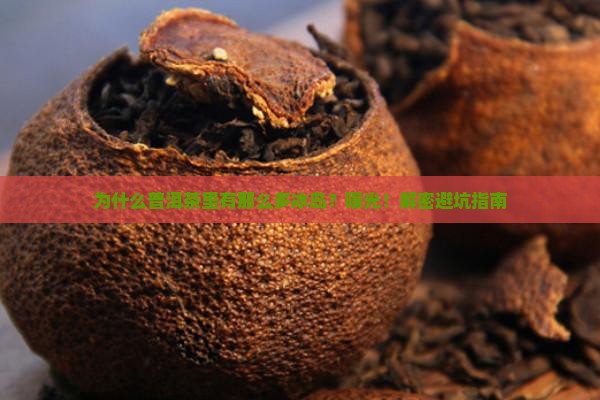 普洱茶为什么那么多冰岛