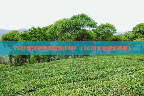 05年7542普洱茶价格