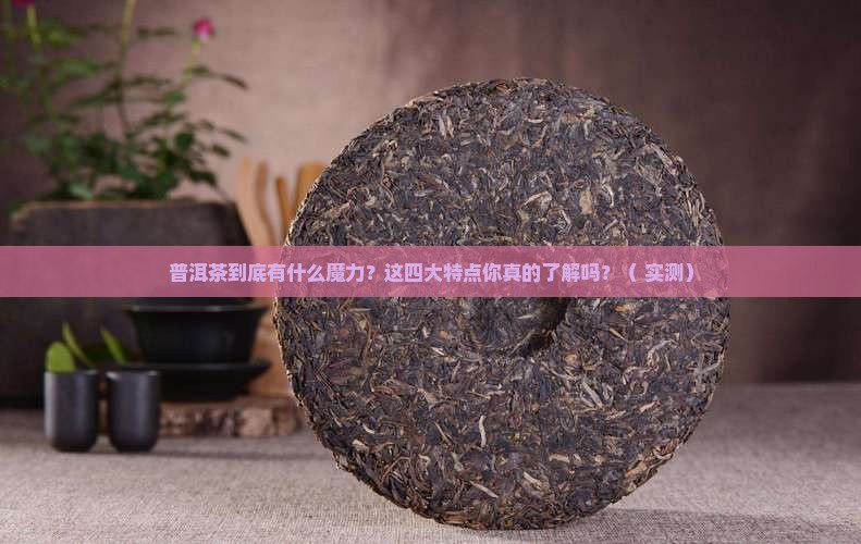普洱茶的四大产品特点是什么