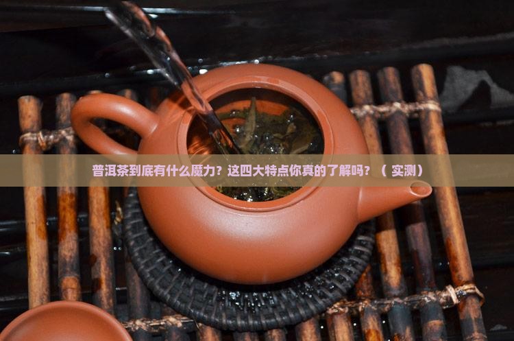 普洱茶的四大产品特点是什么