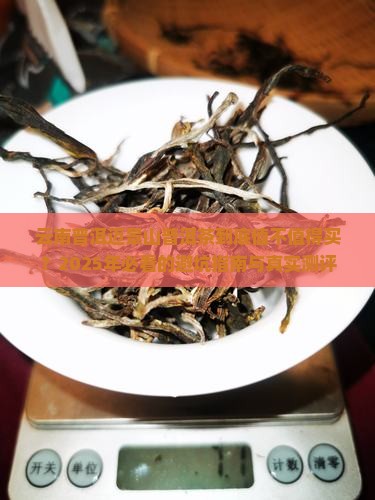 云南普洱迈景山普洱茶怎样