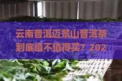 云南普洱迈景山普洱茶怎样