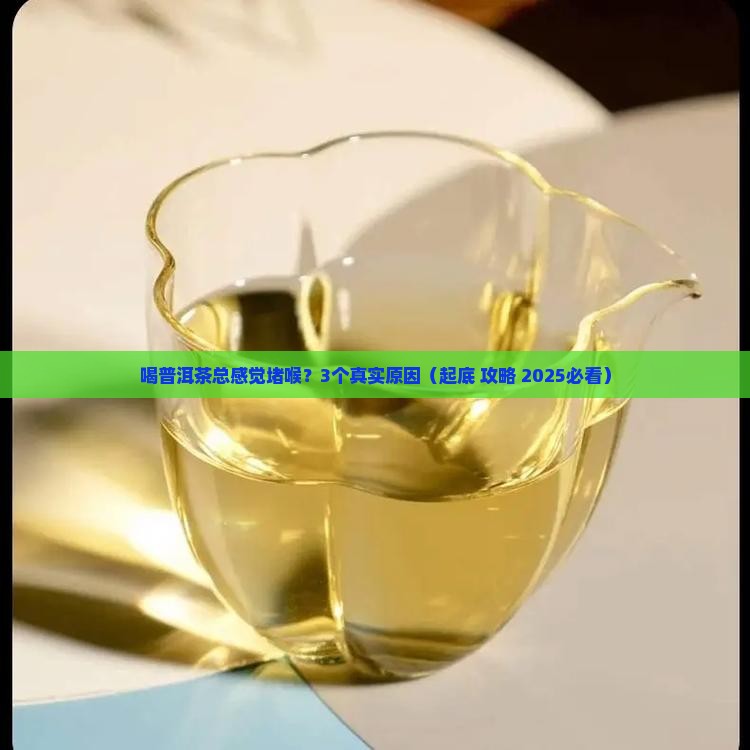 喝普洱茶堵喉是什么原因