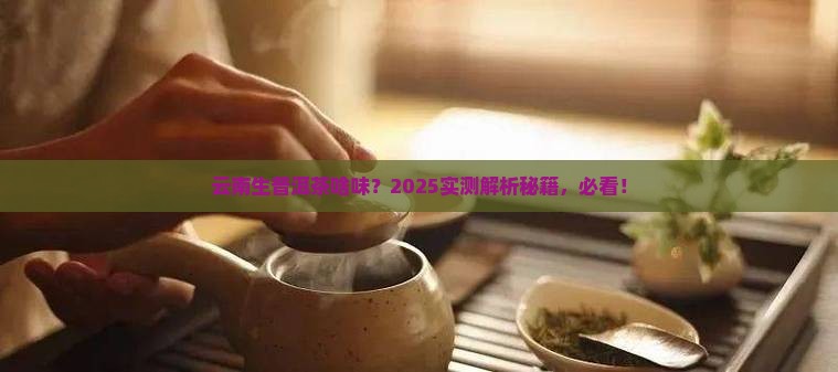 云南生普洱茶什么味