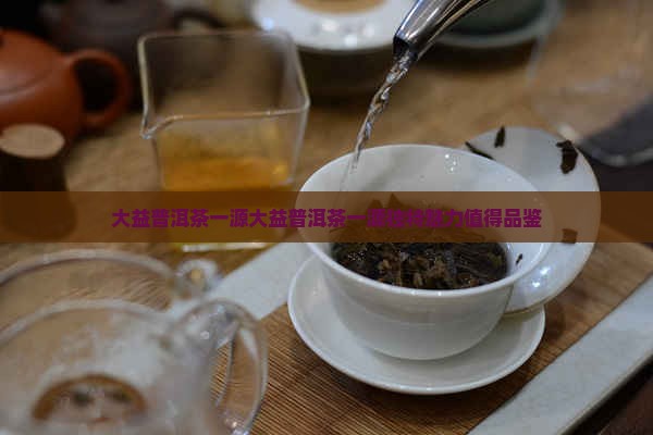 大益普洱茶一源