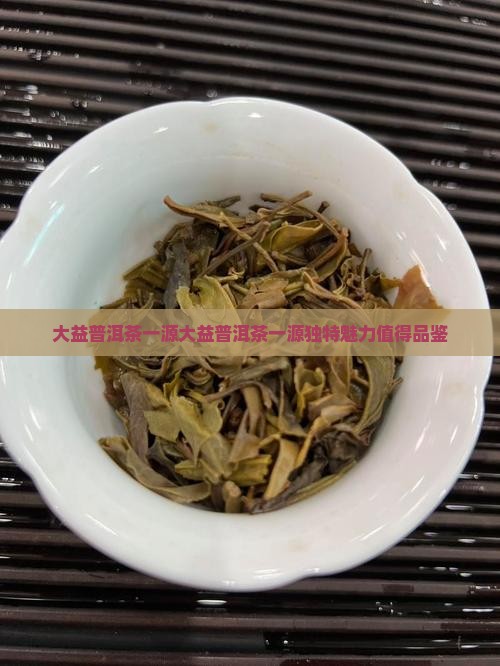 大益普洱茶一源