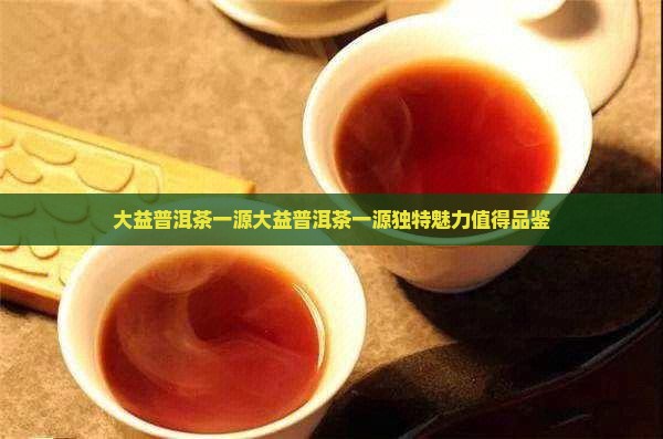 大益普洱茶一源