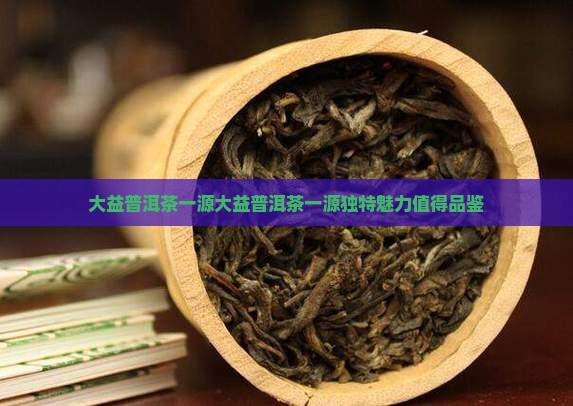 大益普洱茶一源