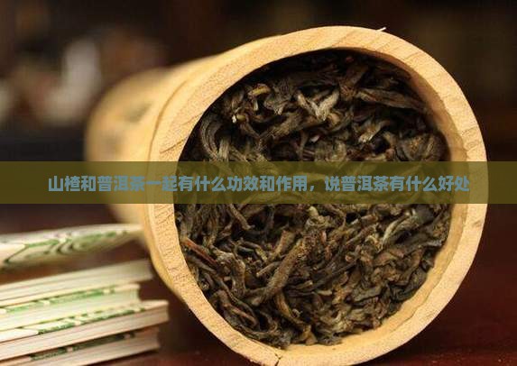 山楂泡生普洱茶功效和作用
