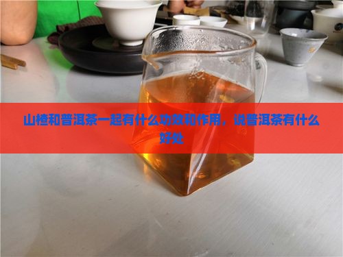 山楂泡生普洱茶功效和作用