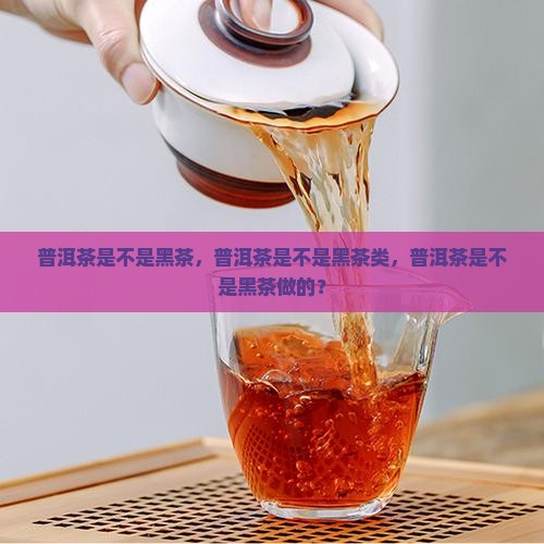 普洱茶是不是黑茶