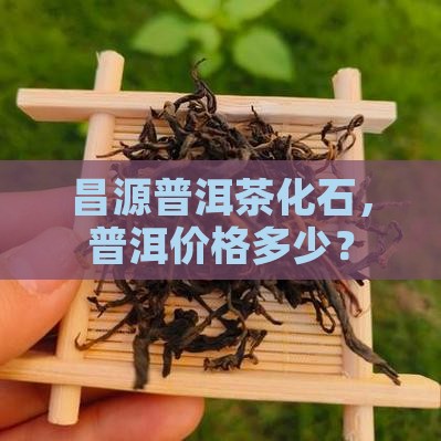 昌源普洱茶石化石多少钱