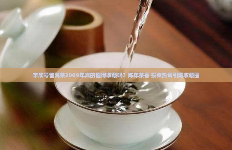 宇欣号普洱茶2009年
