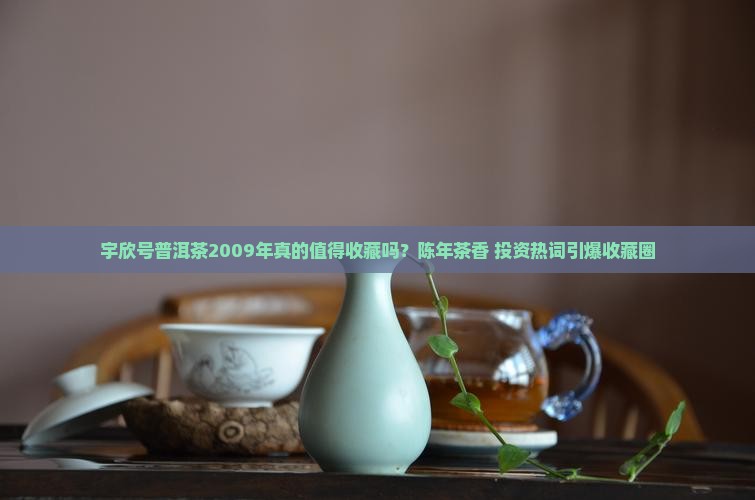 宇欣号普洱茶2009年