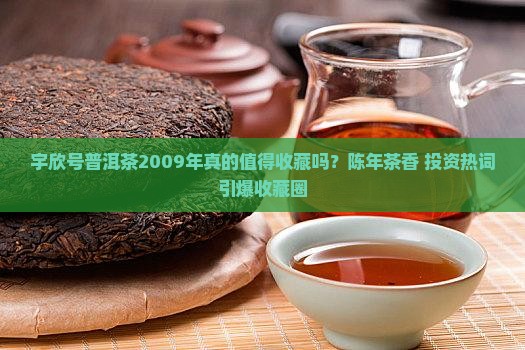 宇欣号普洱茶2009年