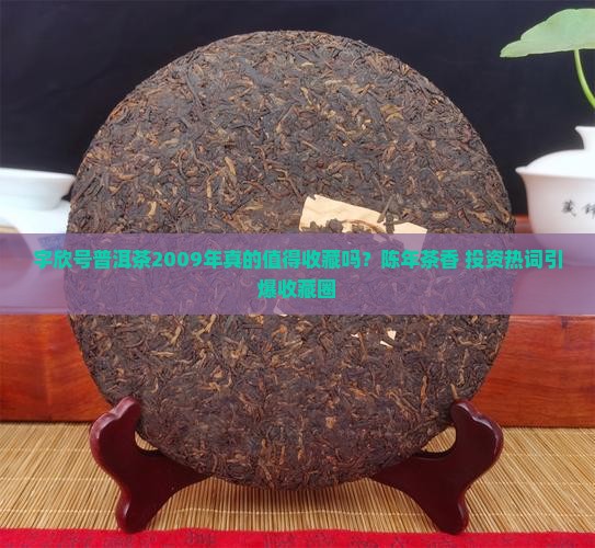 宇欣号普洱茶2009年
